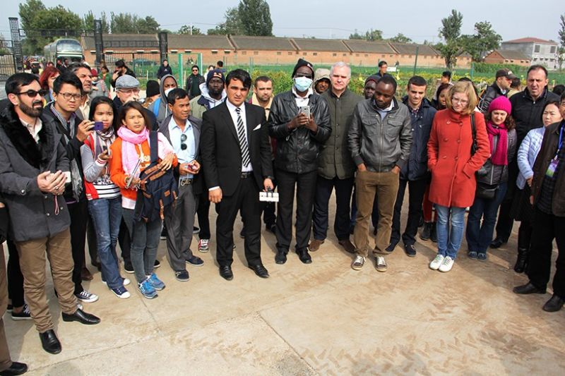 72名外國專家為何同時考察一個菊花基地？